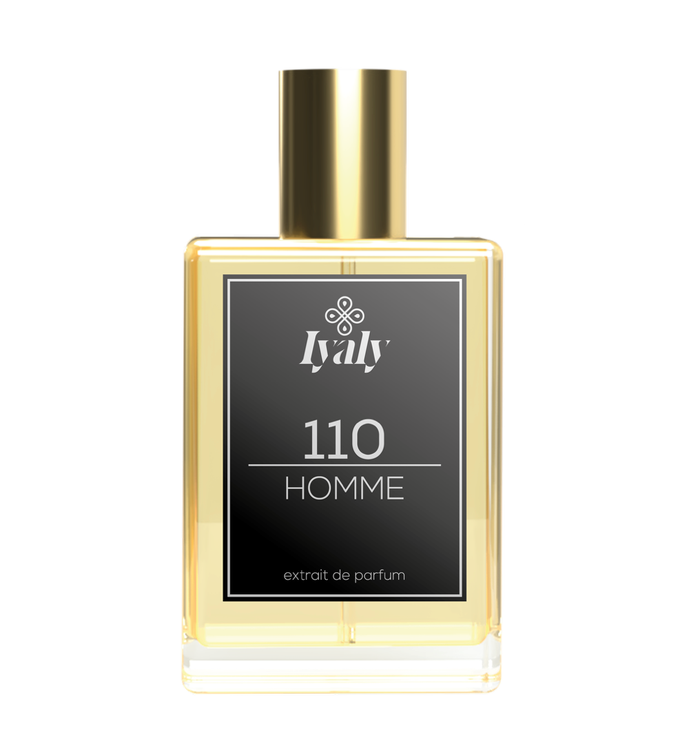 S110 - 30ML - Parfum original Iyaly inspiré de "TERRE D'HERMES" (HERMES)