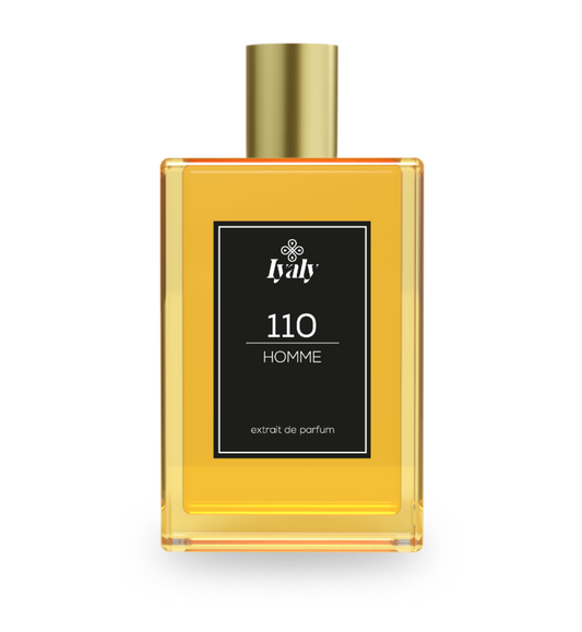 110 - Parfum original Iyaly inspiré de "TERRE D'HERMES" (HERMES)